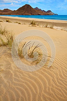 Almeria Playa Genoveses beach Cabo de Gata photo