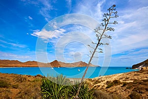 Almeria Playa los Genoveses beach Cabo de Gata