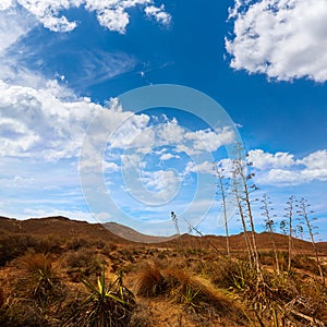 Almeria Playa los Genoveses beach Cabo de Gata photo