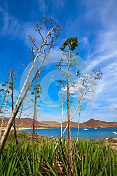 Almeria Playa los Genoveses beach Cabo de Gata photo