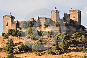 Almodovar del Rio castle, Spain