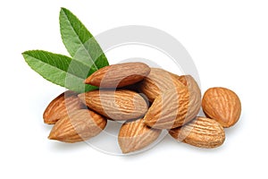 Almond photo