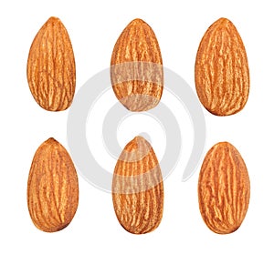 almond