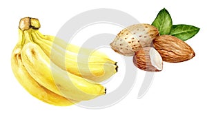 Almond banana set composition watercolor isolated on white background