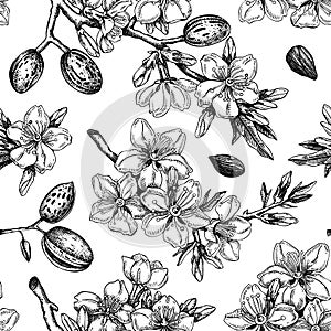 Almond blossom sketched background. Floral seamless pattern. Flowering branches with nuts, flowers, and leaves design. Botanical