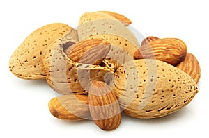 Almond closeup