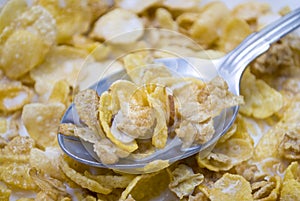 Almond Cornflake Cereal with Milk