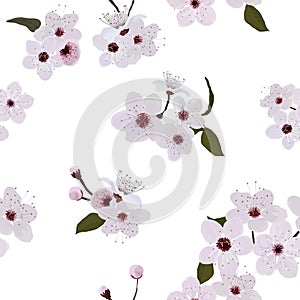 Almond flower pattern