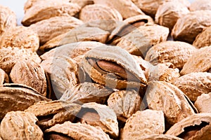 Almond. Group of nuts in kernel.