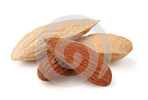 almond isolated on white background, clipping path, full depth of field