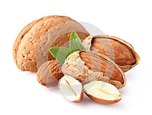 Almond kernel