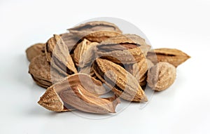 Almond kernels and shell almonds are isolated on white background