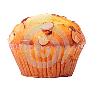 Almond muffin cup cake isolated white close up