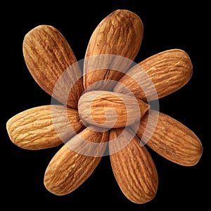 Almond nut or Badam  or Lauz or badem or mandle amandel or almendra or manteli or amande or mandorla or Badem  in black background