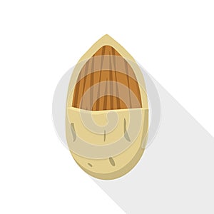 Almond nut icon, flat style
