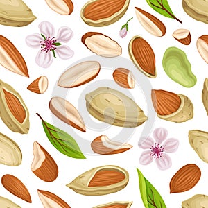 Almond Nut Kernel with Shell and Flower Seamless Pattern Vector Template