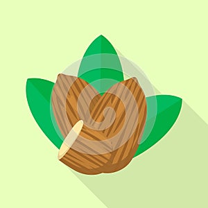 Almond nut leaf icon, flat style