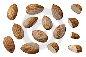 Almond nut set selection isolated on white background