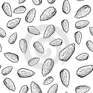 Almond nut vector seamless pattern. Hand drawn background. Food ingredient sketch.