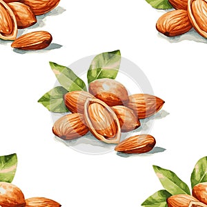 Almond nuts clip art seamless pattern isolated on white background.