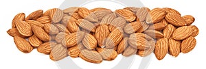 Almond nuts isolated on white background. Panorama of Almonds nuts closeup. Organic food