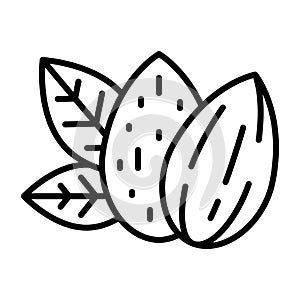 Almond Nuts with Shell and Without Shell Outline Icon