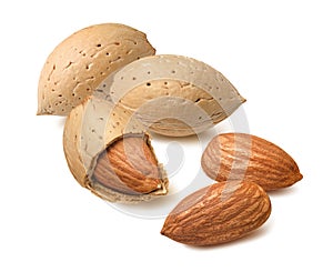 Almond nuts in shells and without them isolated on white background