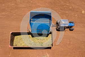 Almond picker harvester discharging, Aerial view.