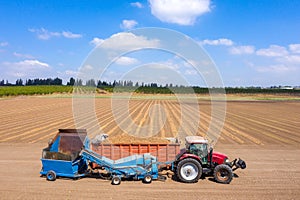 Almond picker harvester discharging, Aerial view.