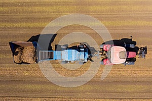 Almond picker harvester processing a field, Aerial view.