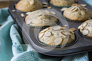 Almond poppyseed muffin in blue wrapping with muffin tin