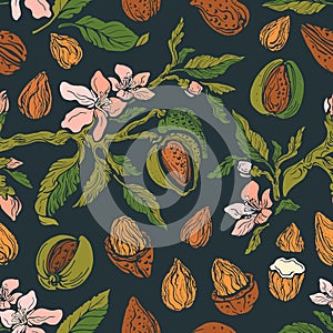 Almond print. Vector vintage color illustration
