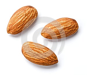 Almond photo