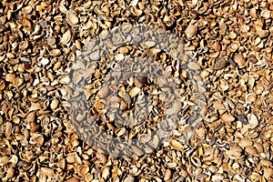 Almond shells texture in Teruel Albarracin