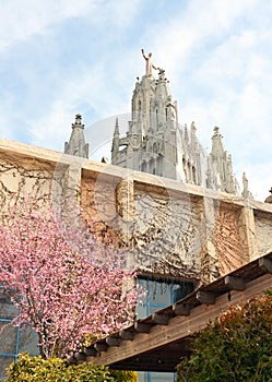 Almond at Tibidabo photo