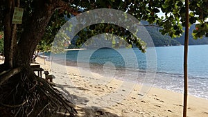 Almond tree shadowing a beach photo