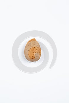 An  almond on white background