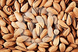 Almonds background