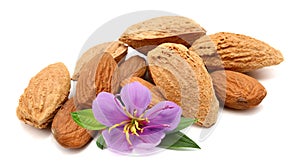 Almonds in close-up.