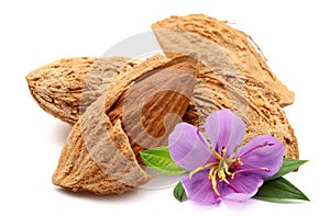 Almonds in close-up.