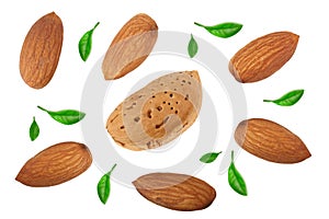 Almonds decorated with leaves isolated on white background without a shadow close up. Top view