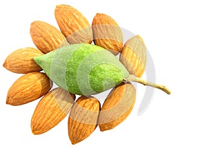 Almonds delight green raw and dry
