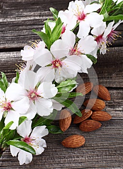 Almonds flowers