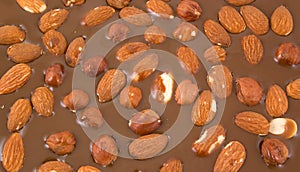 Almonds and hazelnuts chokolate