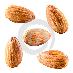 Almonds isolated on white background. Collection