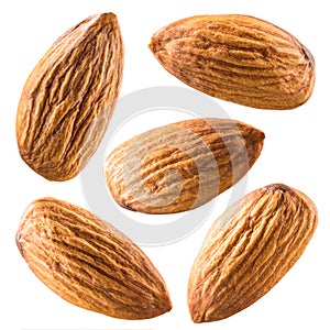 Almonds isolated on white. Collection