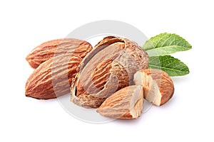 Almonds kernel in closeup