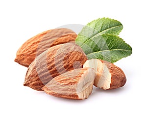 Almonds kernel with leaves