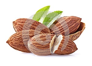 Almonds kernel with leaves