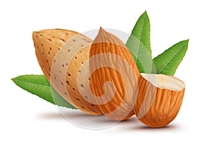Almonds with leaves isolated on white background. Digital painting, illustration